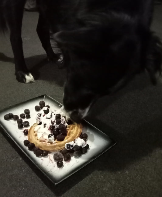 Woofles!        A tail waggin twist on breakfast !  Comes in apple/cinnamon , blueberry or banana .  Pop them in the taster , just warm them through or make them a but crispy for a warm delicious barkfest ,serve with greek yoghurt