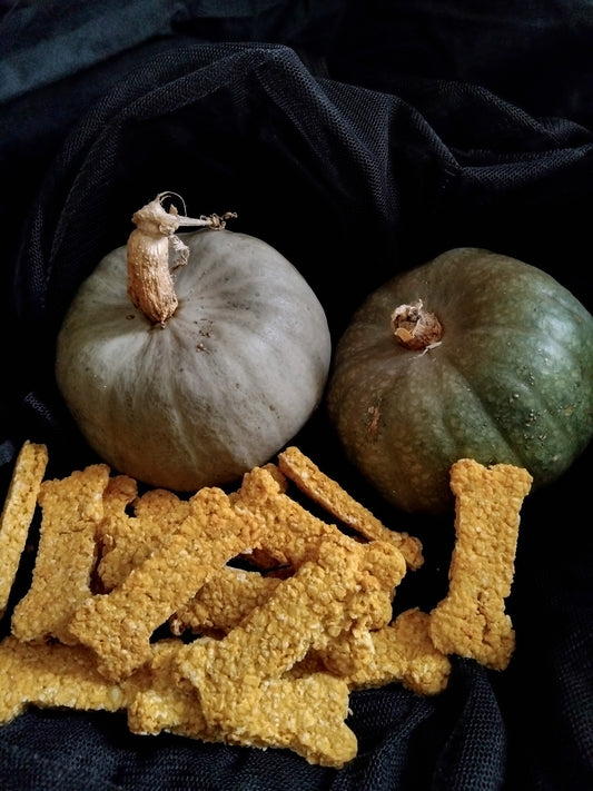 PUMPKIN—loaded with antioxidants  and inflammatory properties to keep puppy happy and healthy , and they taste good too!
